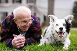 What age do Border collies die