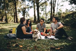 Dog Friendly Parks in Liverpool, NSW