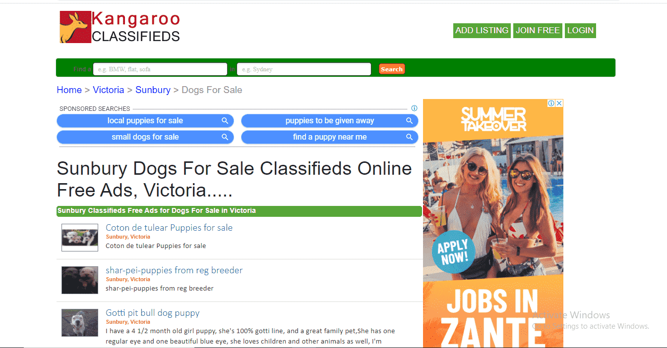 Kangaroo Classifieds