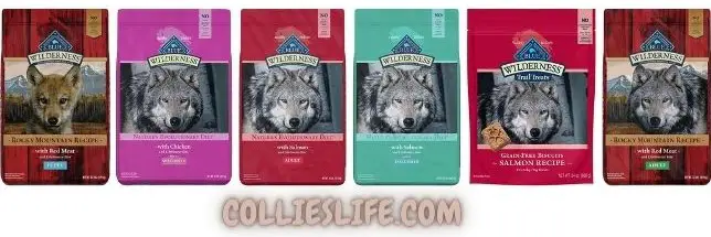 10 best dog foods for border collies in 2023