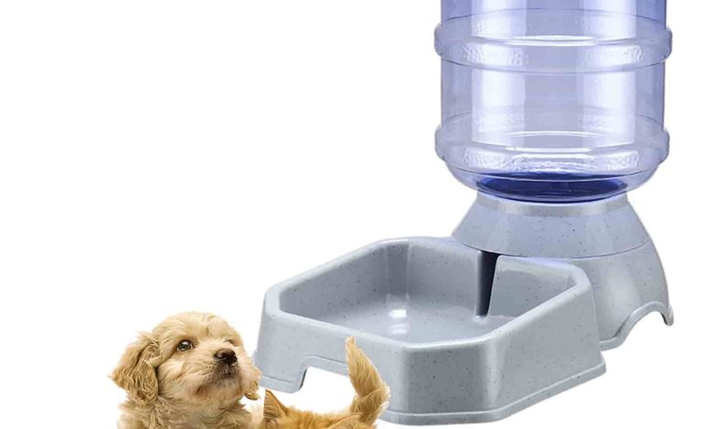 5-Gallon Water Dispenser for Dogs