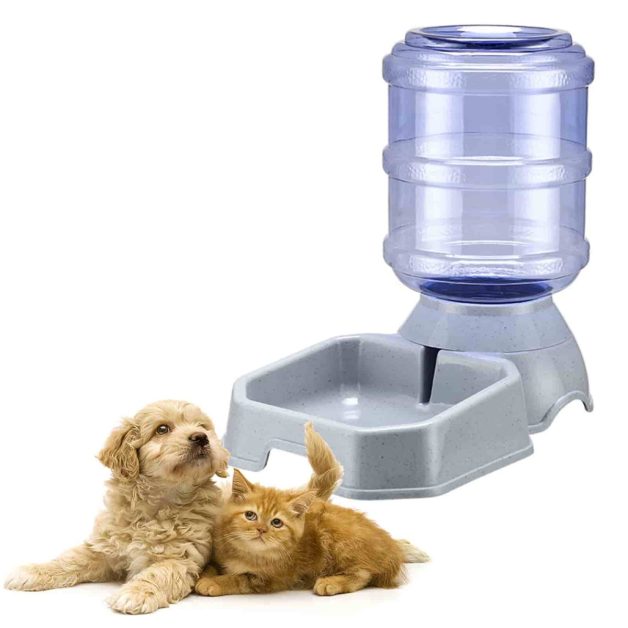 5-Gallon Water Dispenser for Dogs