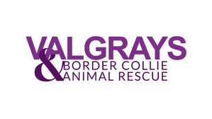 Where Is Valgrays Border Collie Rescue